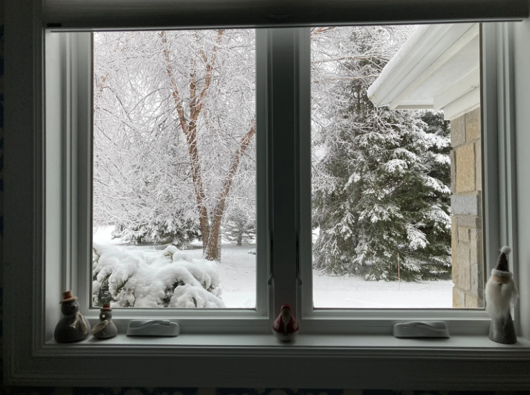 Weather-Resistant Windows