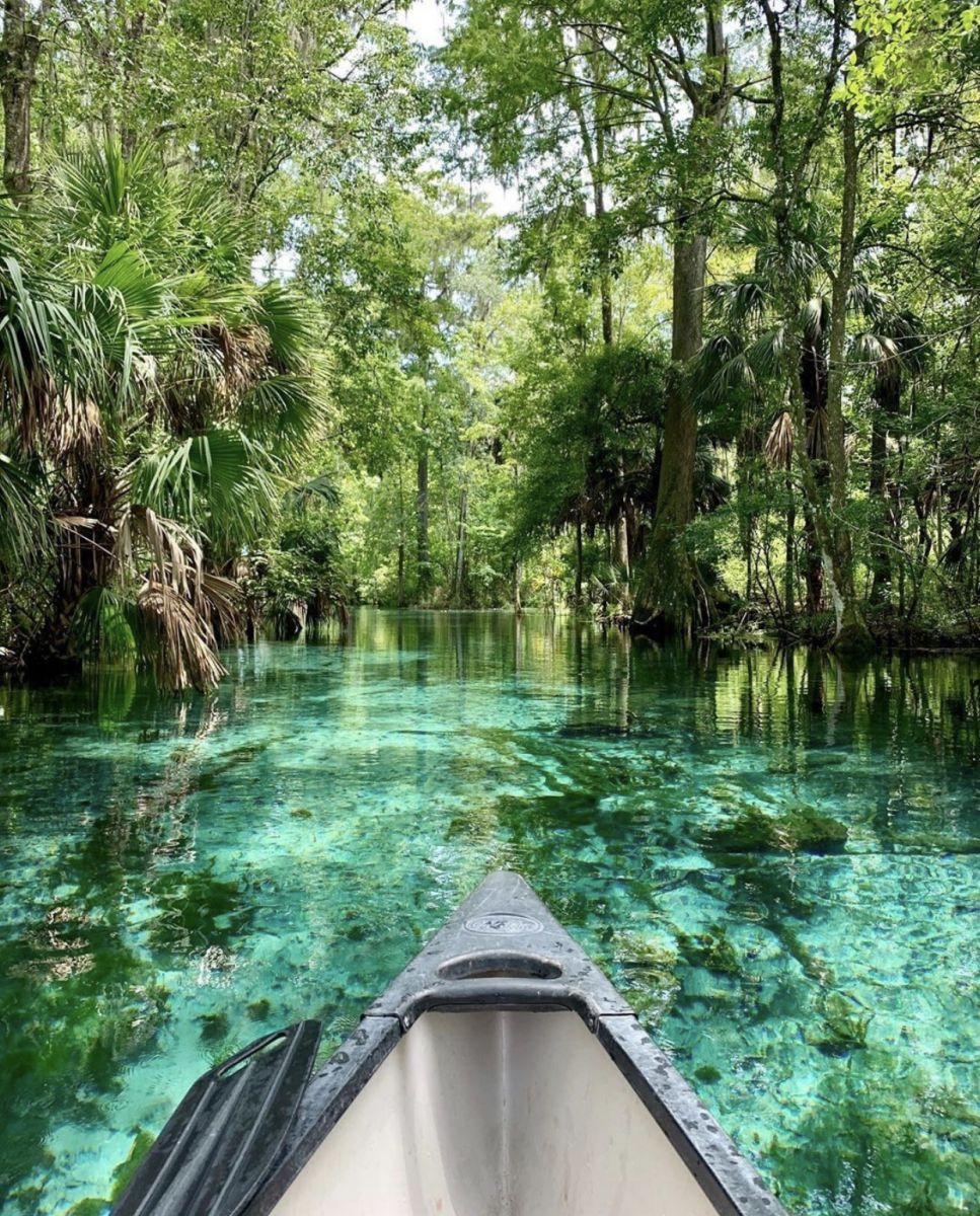 Silver Springs State Park 
