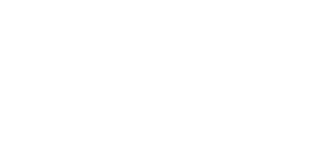 Elite VIP Cleaning Service logo