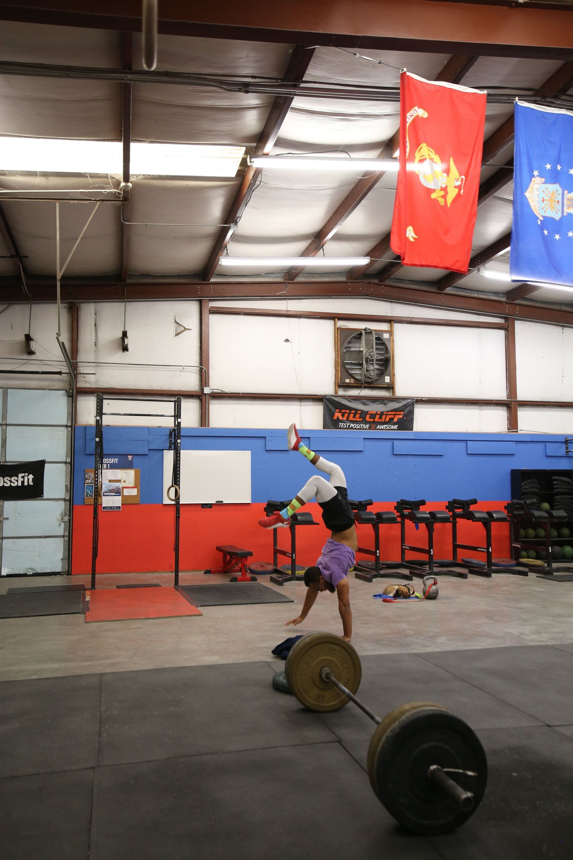 A person is doing a handstand on a barbell in a gym