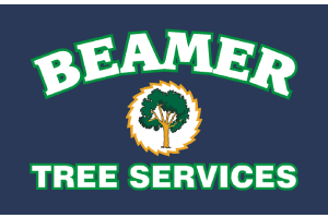 Beamer Tree Services Offers Tree Removal in Grafton