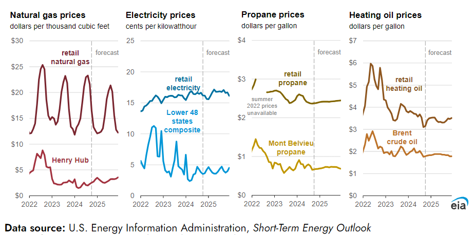 US Energy Fuel Forecast by energy type