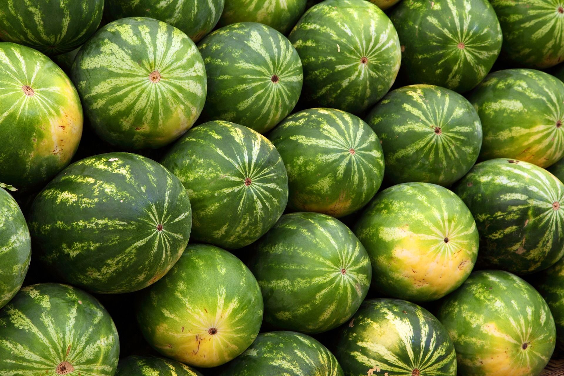 Melon Truckload Produce