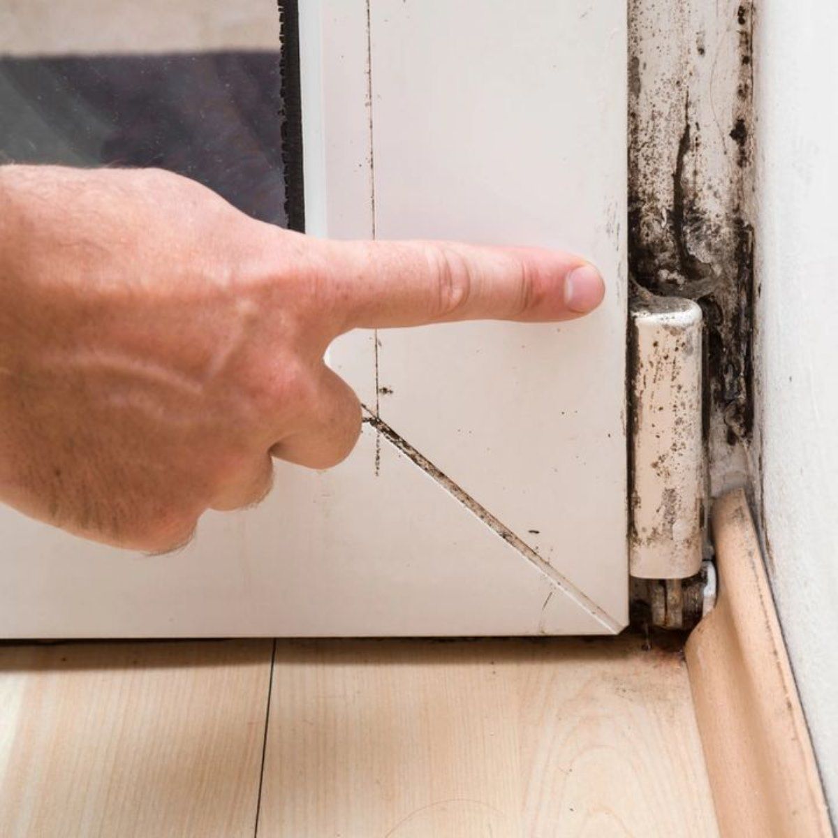 A person is pointing at a door that has mold on it
