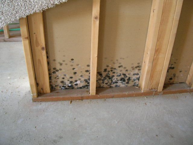 A wooden wall with a lot of black spots on it
