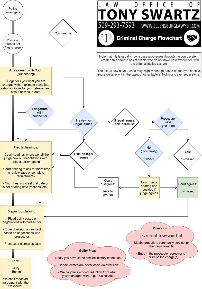 Criminal Case Flow Chart
