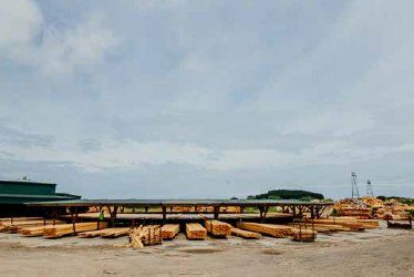 Mitchpine Round table sorting pine timber