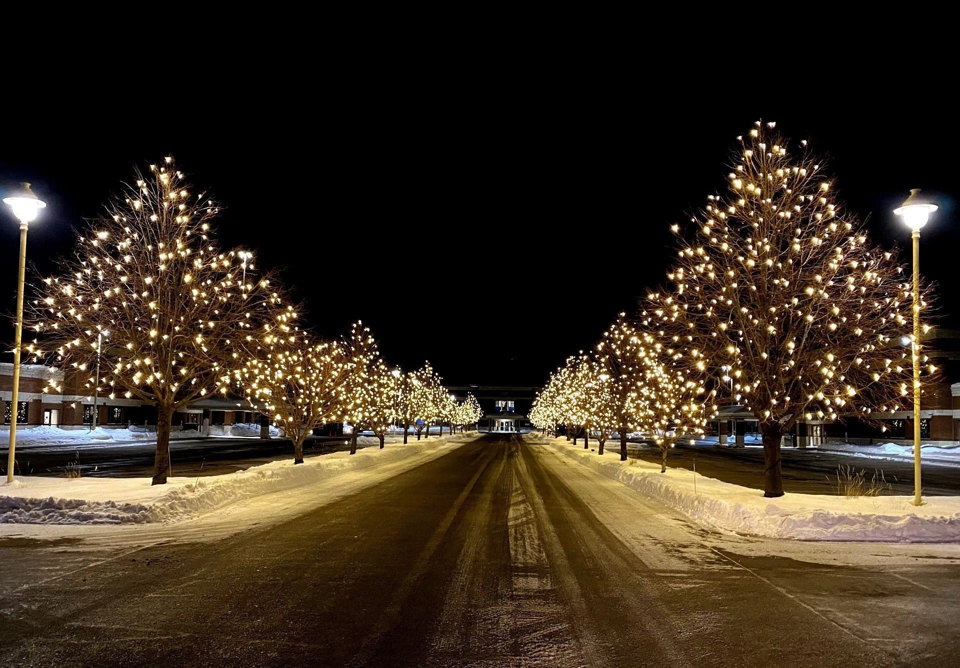 Holiday Lighting