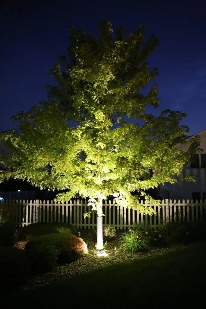 Tree Lighting - Impact