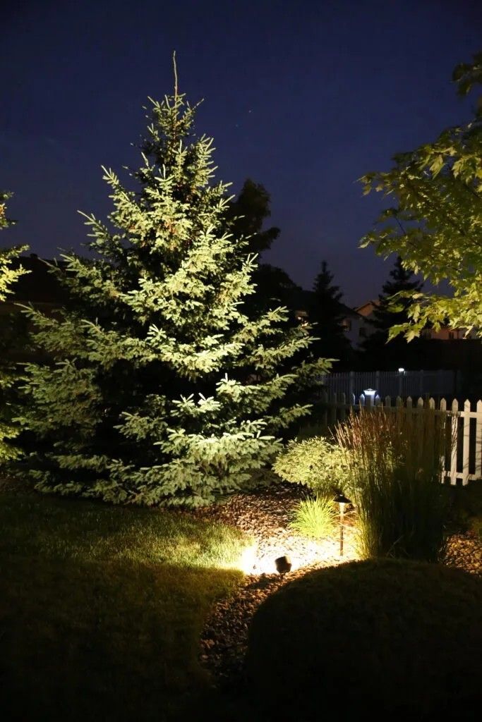 Up Lighting - Impact