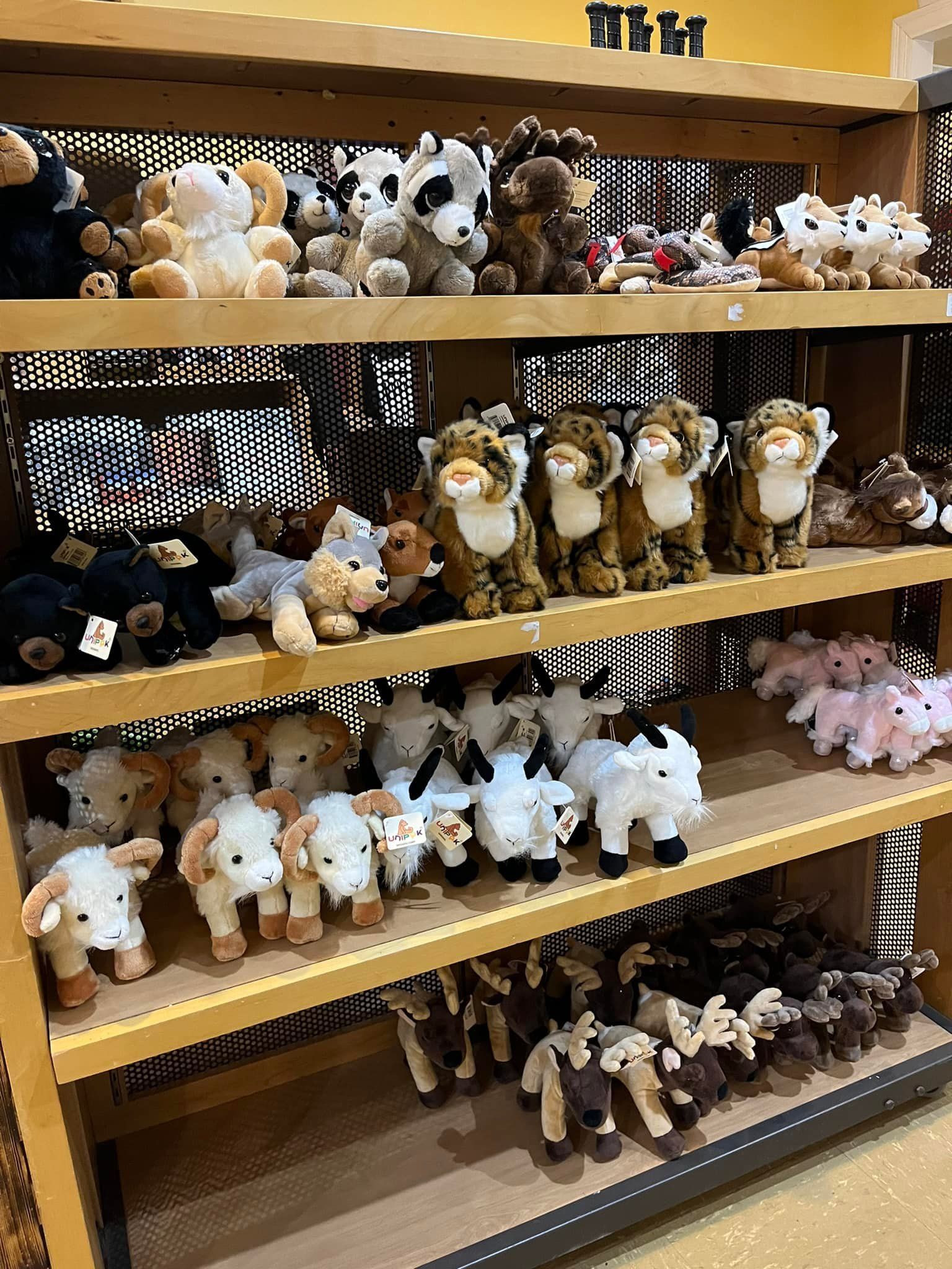 A shelf filled with lots of stuffed animals in a store.