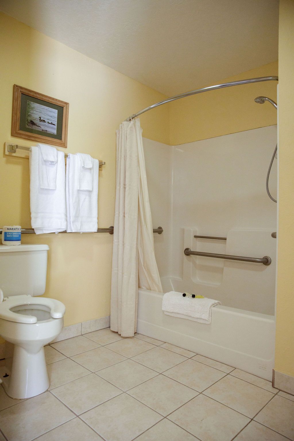 A bathroom with a toilet , bathtub and shower.