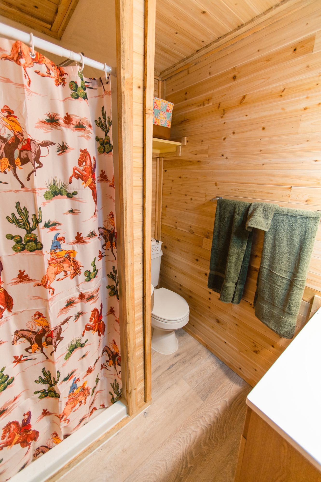 A bathroom with a shower curtain and a toilet.