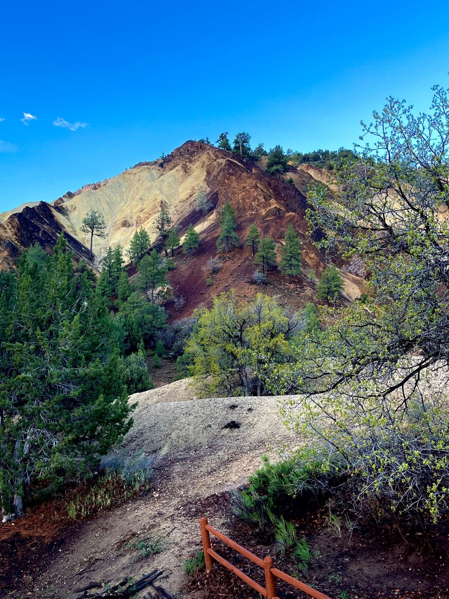 There is a fence in the foreground and a mountain in the background.