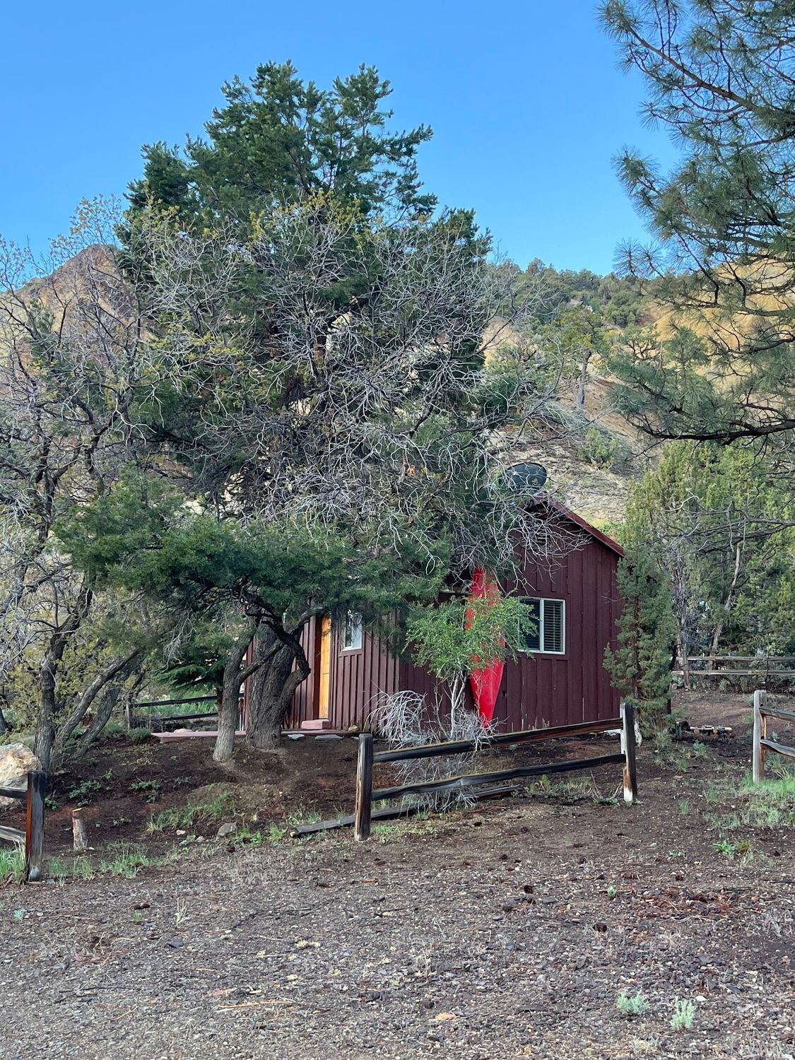 A small house is surrounded by trees and a wooden fence.