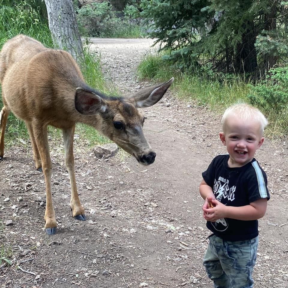 A little boy standing next to a deer on a dirt path