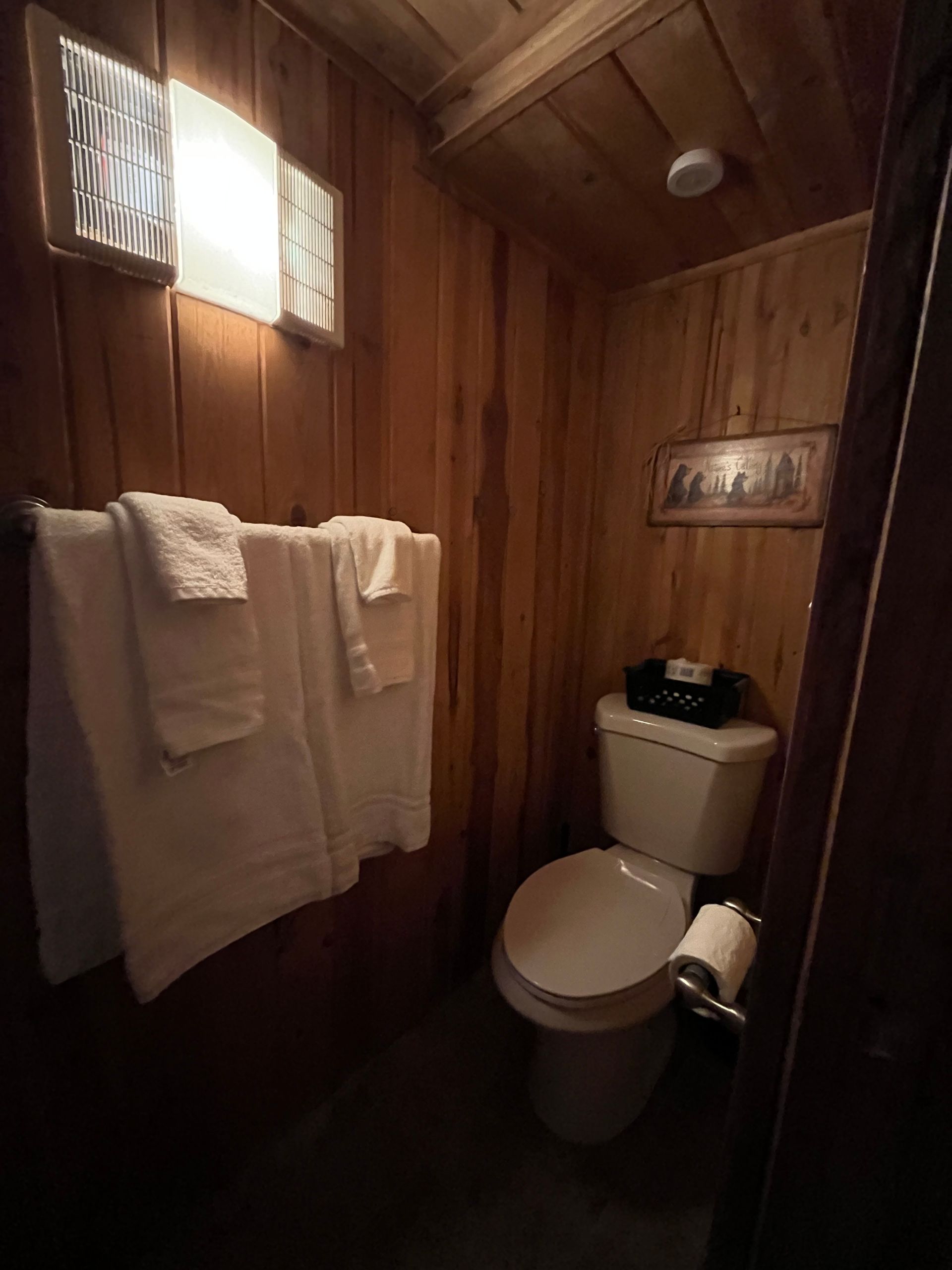 A bathroom with a toilet and towels hanging on the wall