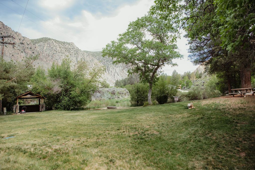 A large grassy field with trees and mountains in the background.