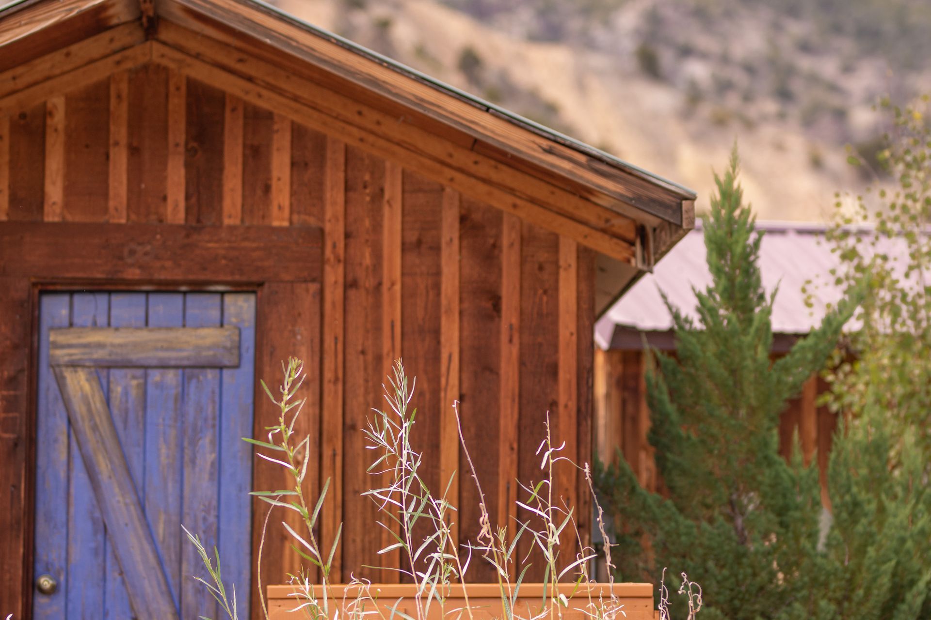 A wooden house with a blue door and a planter in front of it.