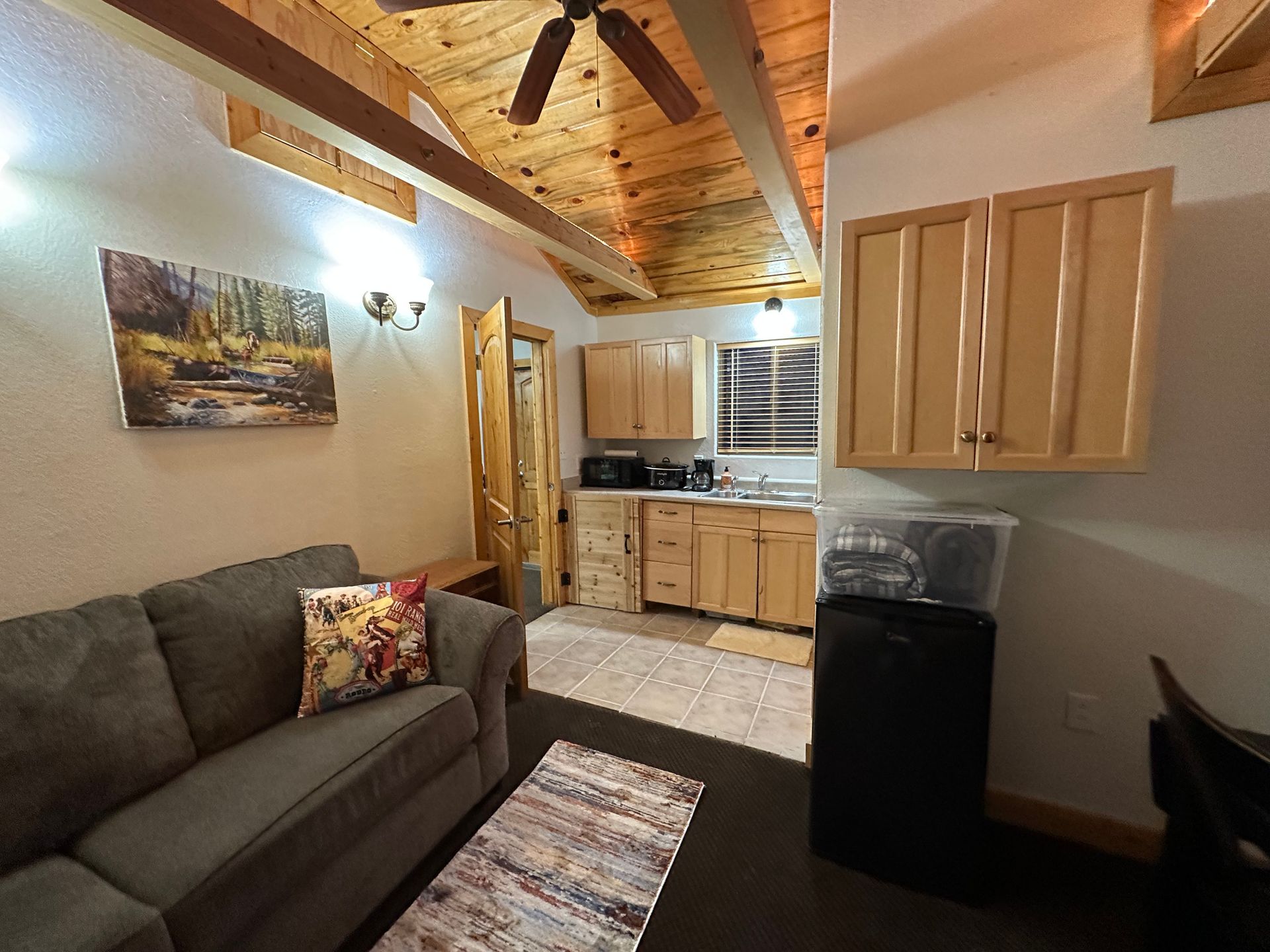 A living room with a couch and a kitchen in the background.