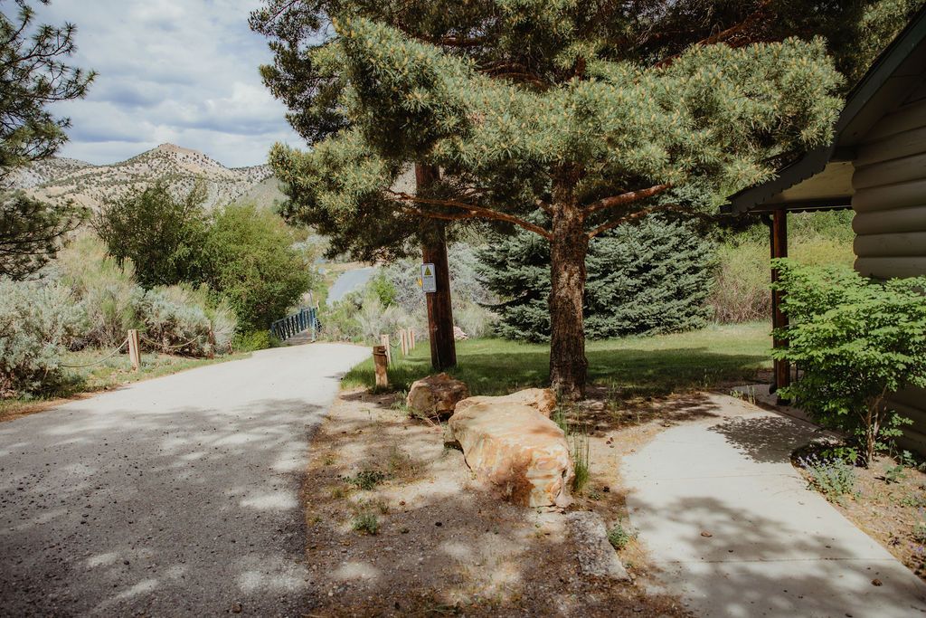 A dirt road leading to a house with trees on both sides.