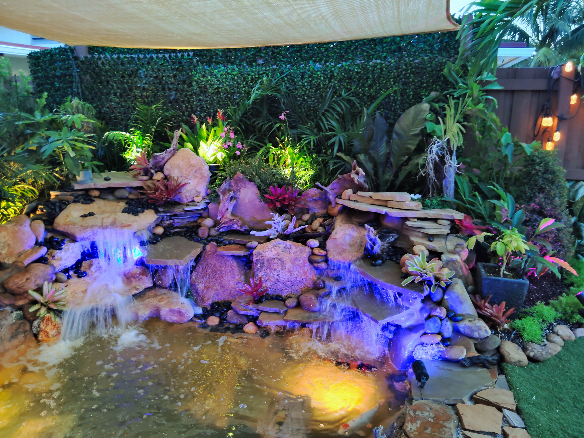 Custom pond with outdoor lighting installed in South Florida
