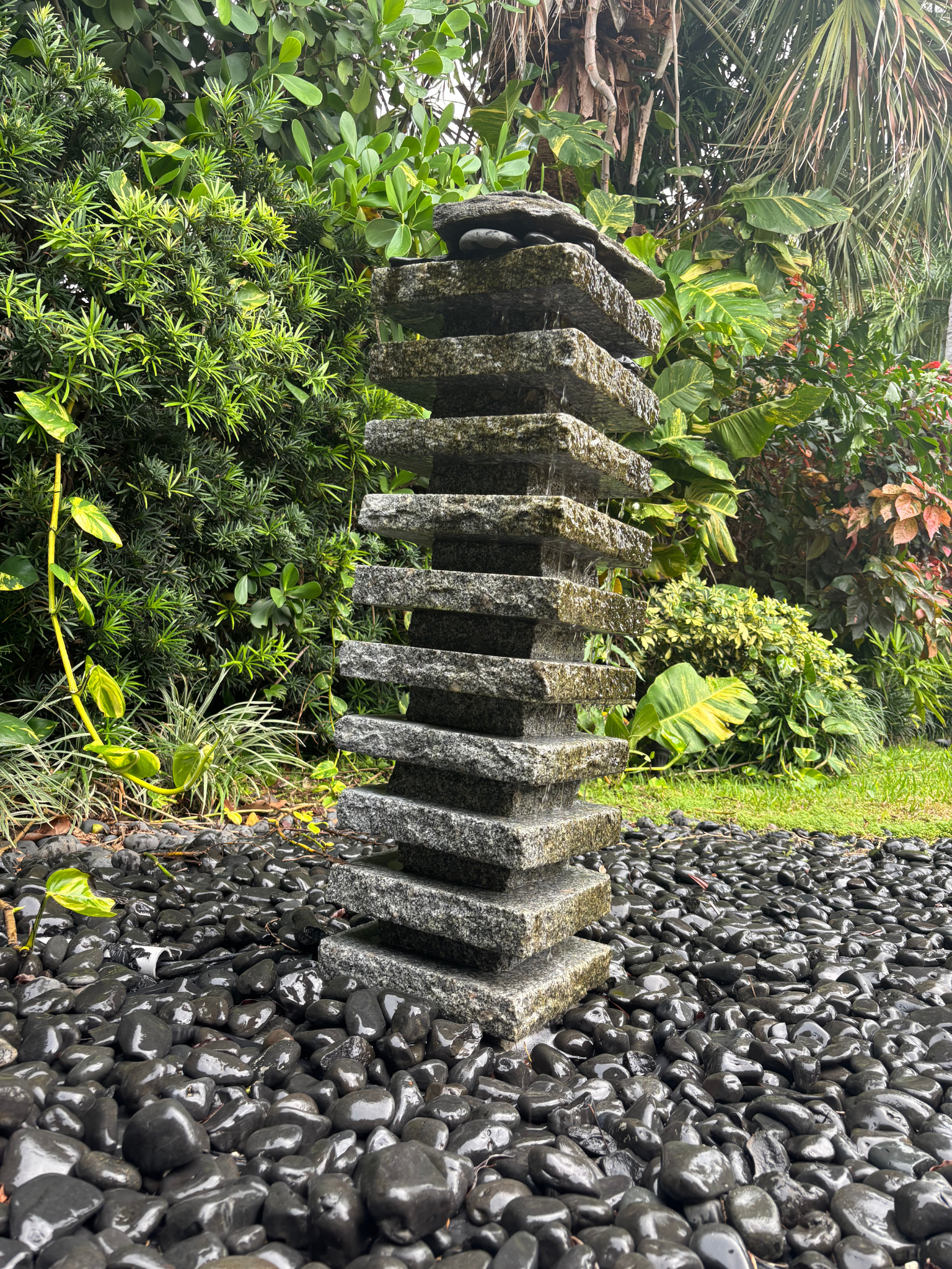 Natural water feature in Florida backyard