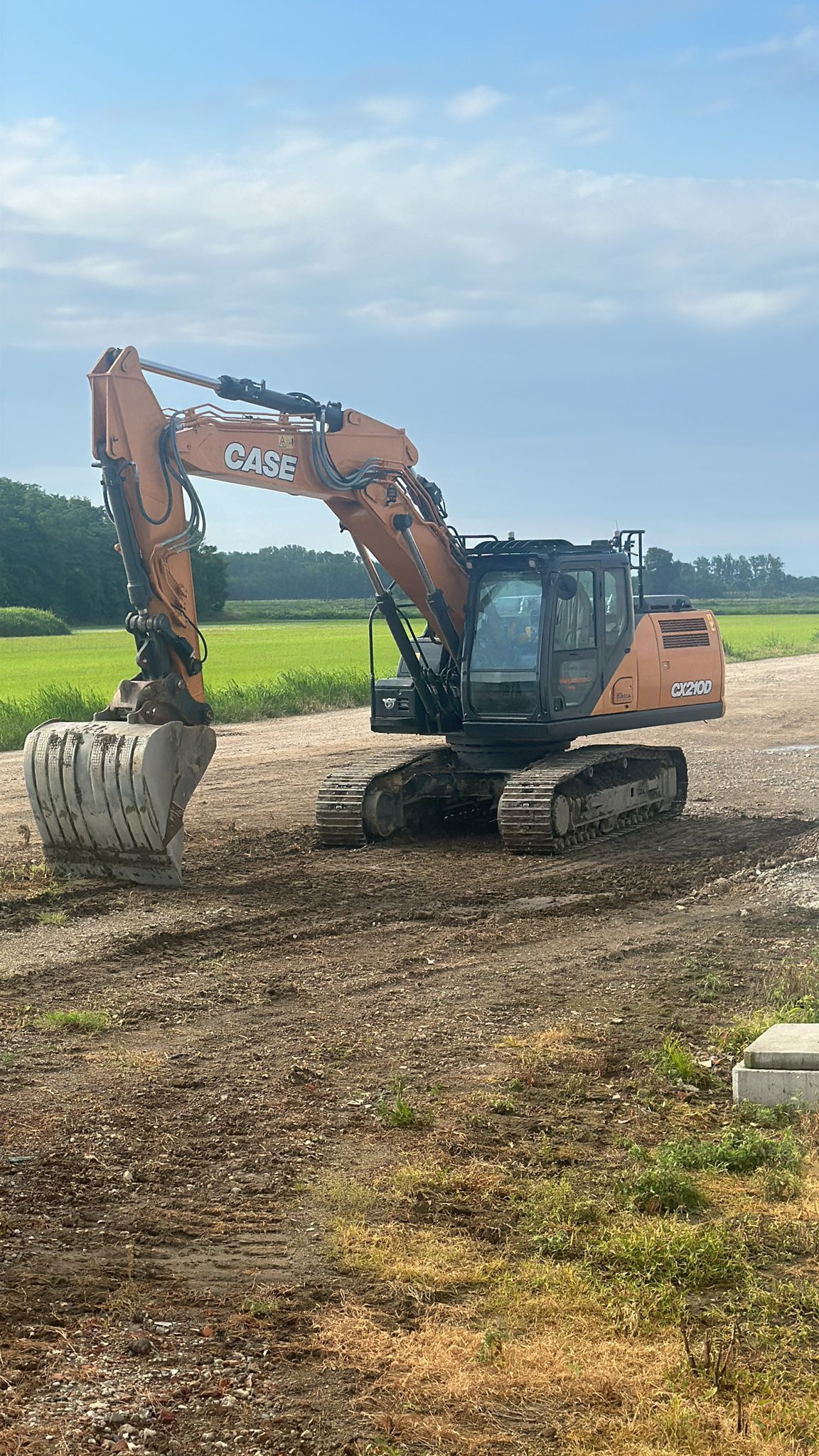 SCAVI E MOVIMENTO TERRA