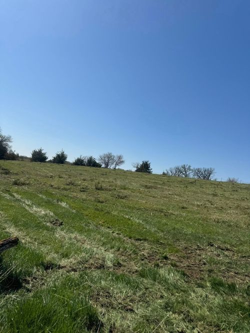 A sunlit, grassy hillside under a clear blue sky, with a line of trees along the distant ridge.