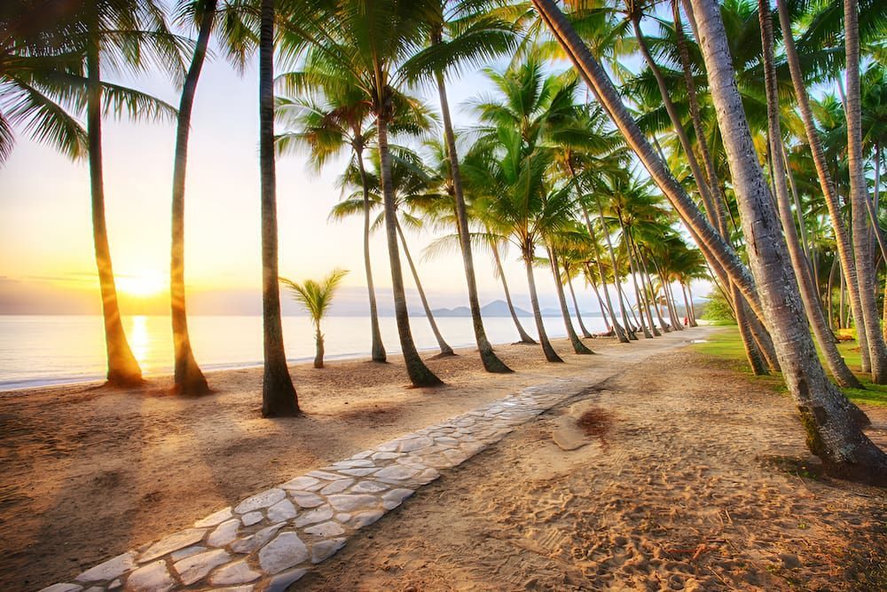 A Path Leading To The Palm Cove — BT Airconditioning In Palm Cove, QLD