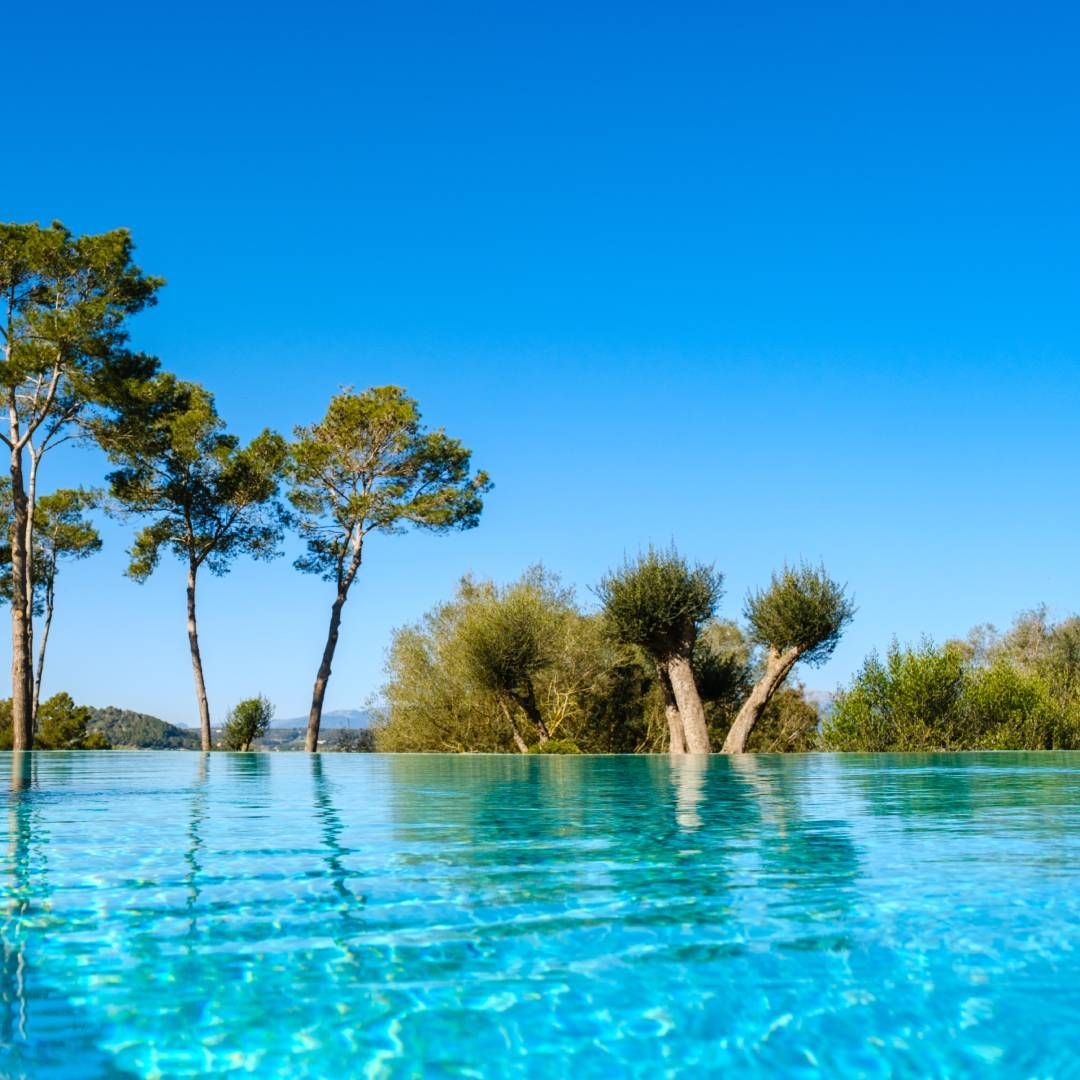 Infinity pool with clear turquoise water, trees, and bright blue sky.