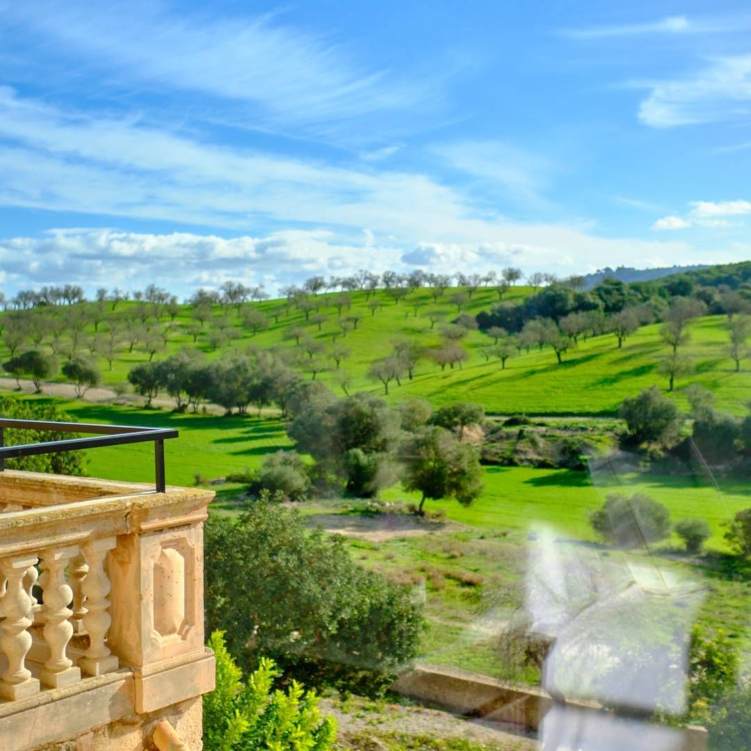 Rolling green hills with trees under a blue sky, viewed from a stone balcony.