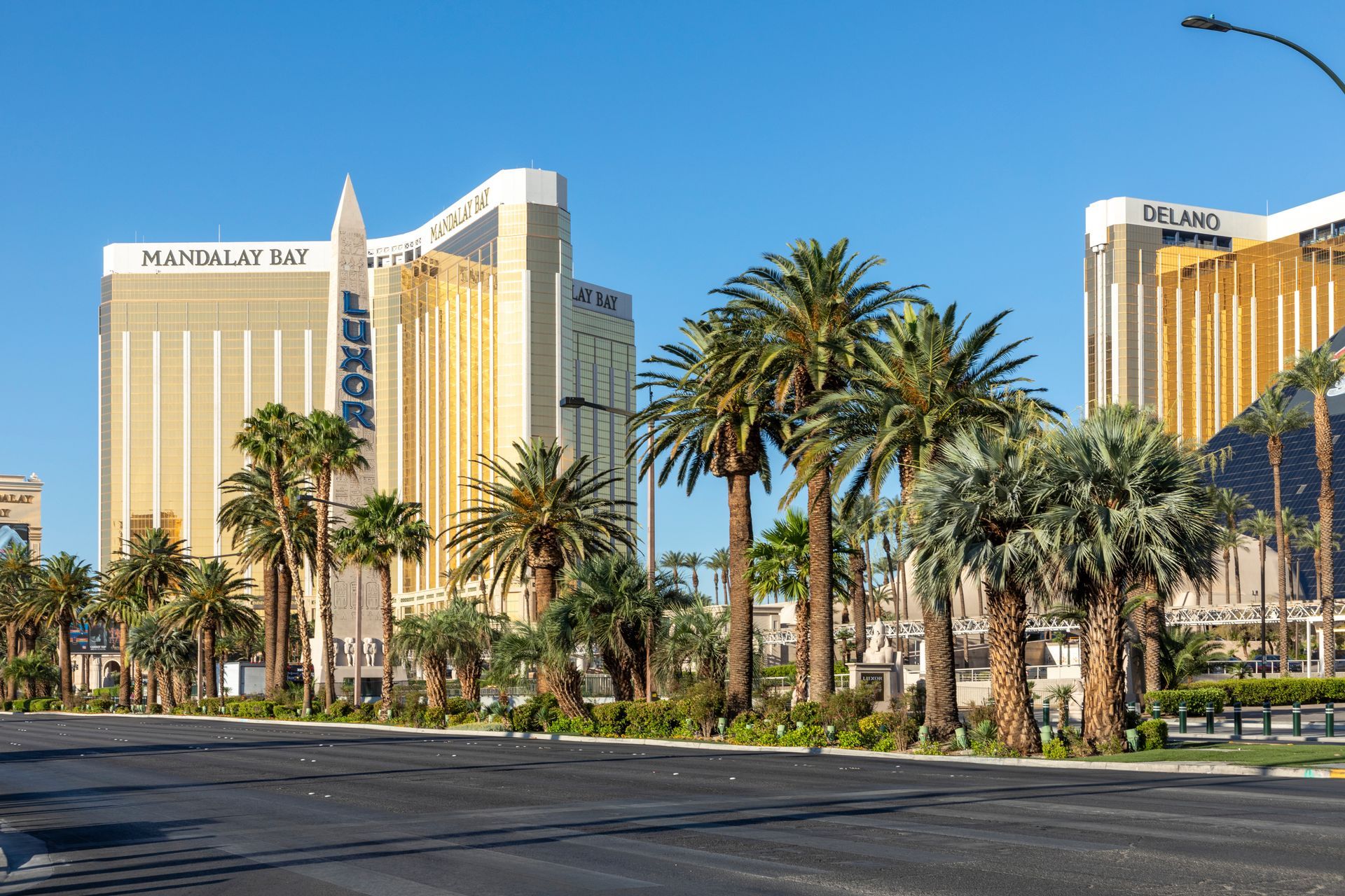 A city street with palm trees and buildings in the background.