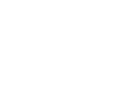 Allied Institute of Professional Studies logo