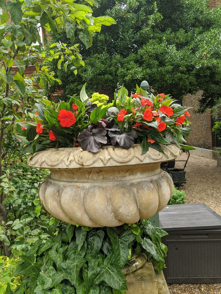 Ornamental pot with pretty red flowers