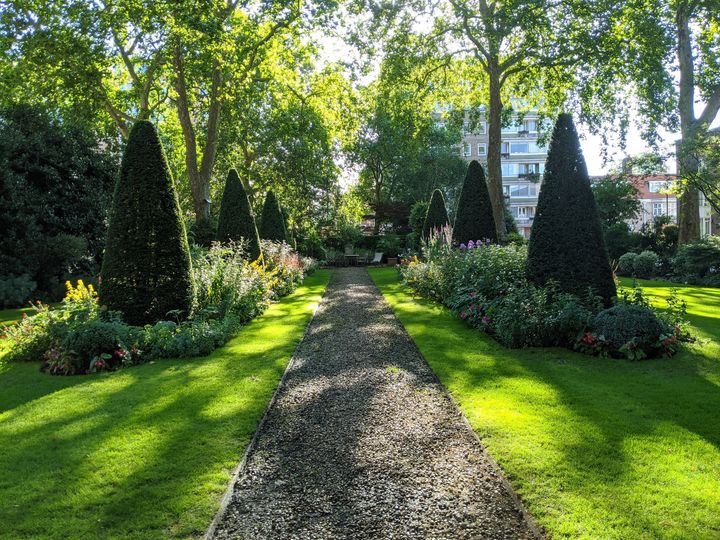 Dappled shade in beautiful garden with gravel path and pruned hedges