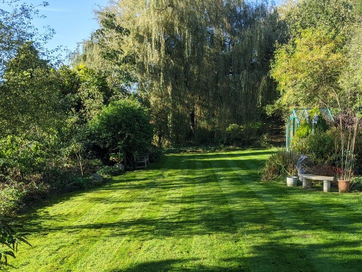 Large garden with lawn, trees, bench and greenhouse