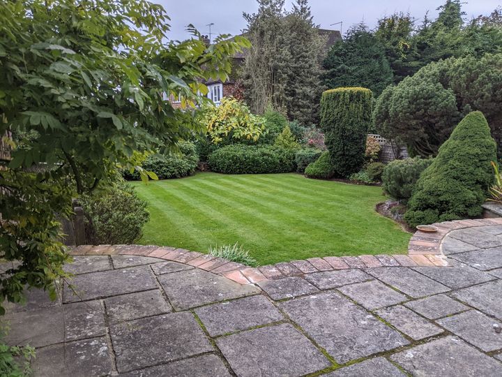 Residential garden with patio, lawn and shaped hedges