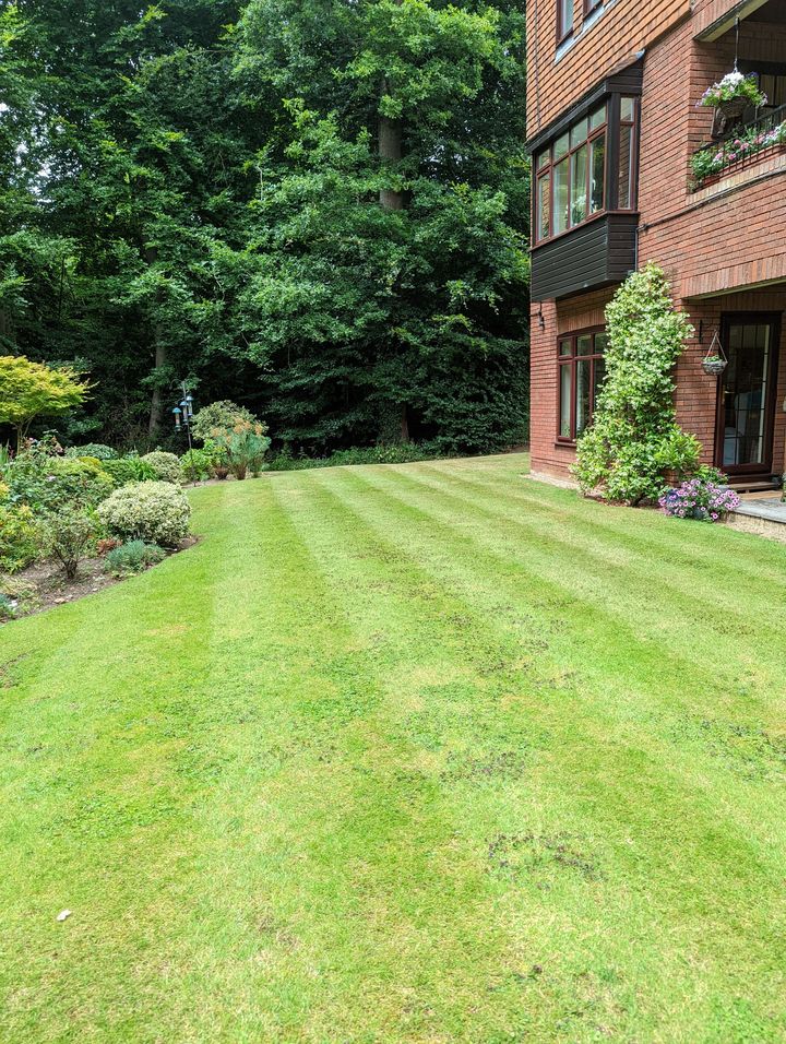 Communal garden area with flower beds and hanging basket