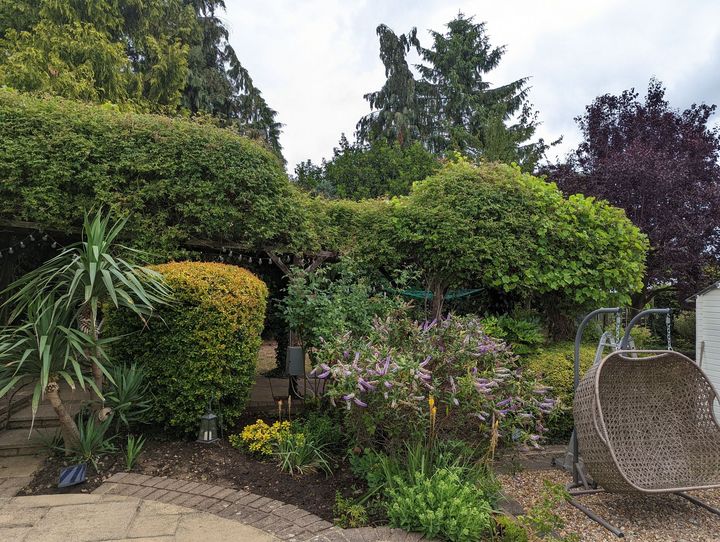 Variety of seasonal plants in garden bed with hanging chair