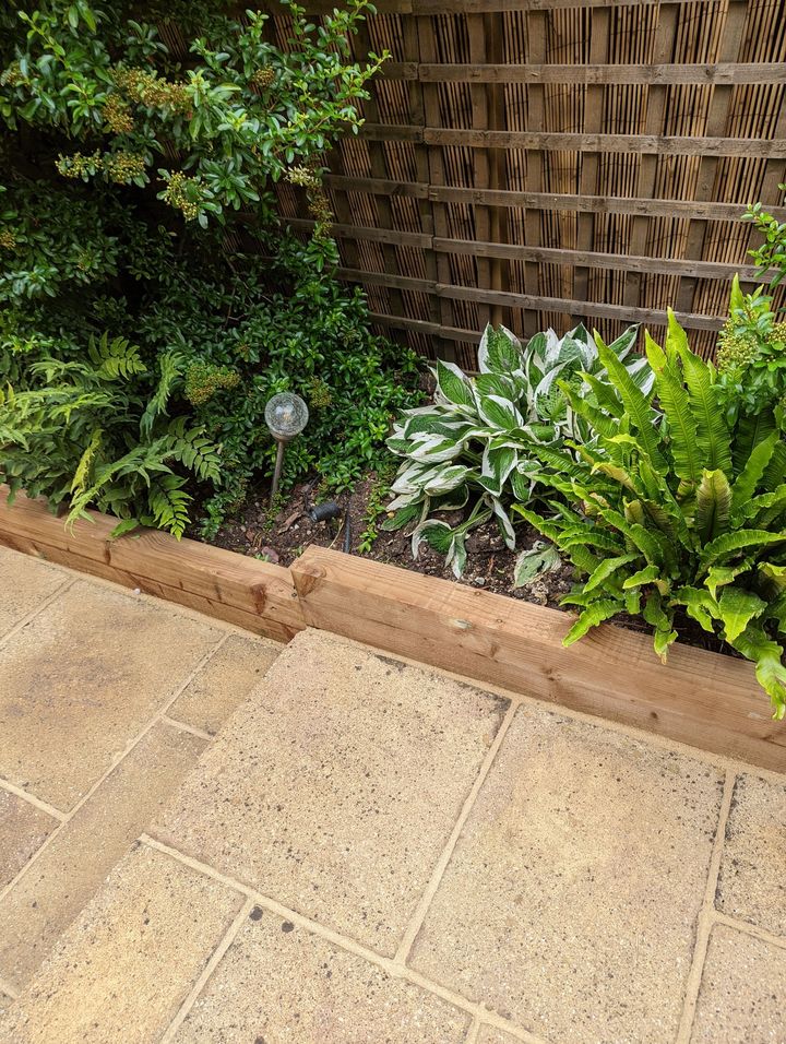 Raised beds with seasonal plants and garden lights