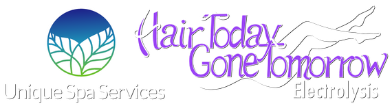 Hair Today Gone Tomorrow - logo