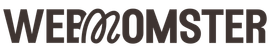 A logo for webzoomster custom websites and templates