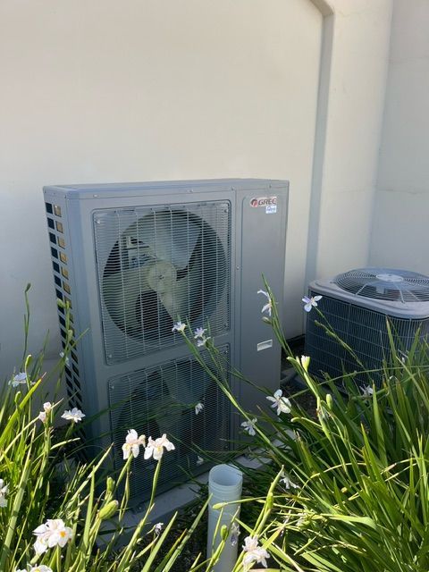 Gray air conditioning unit next to a smaller, round unit, surrounded by plants and a white wall.