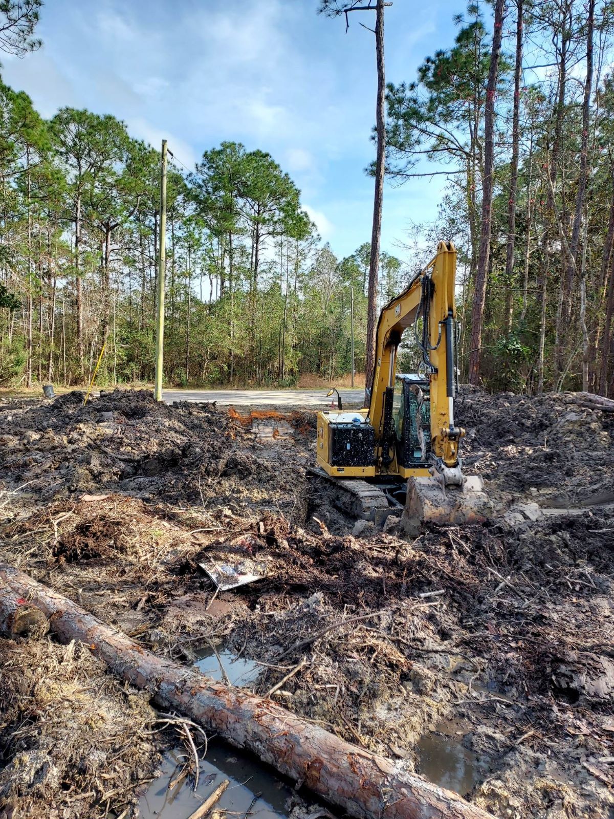 A yellow excavator digging in a muddy clearing with felled trees; tall pines in the background.