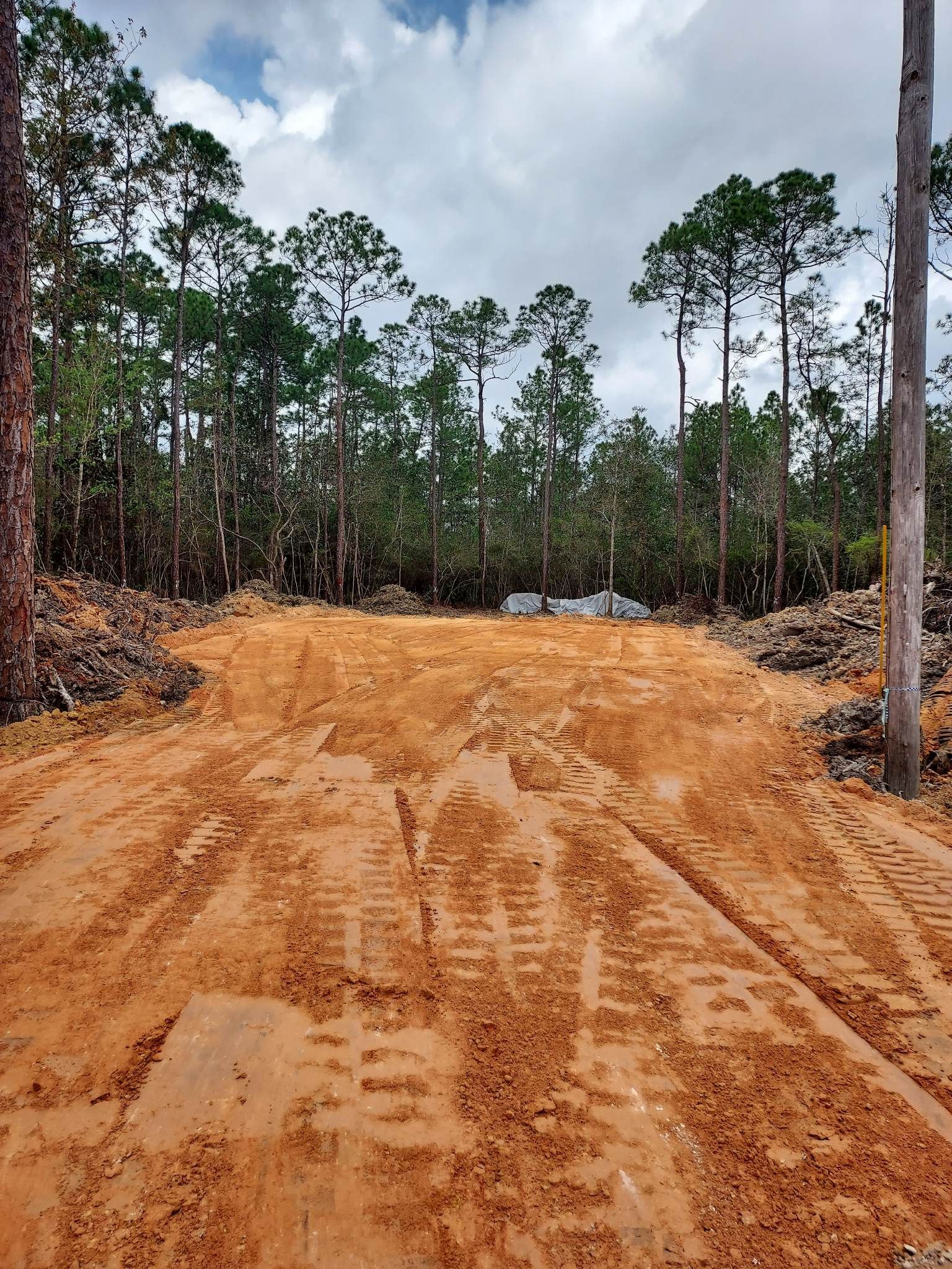 Dirt path leading into a forest with tire tracks; cloudy sky.