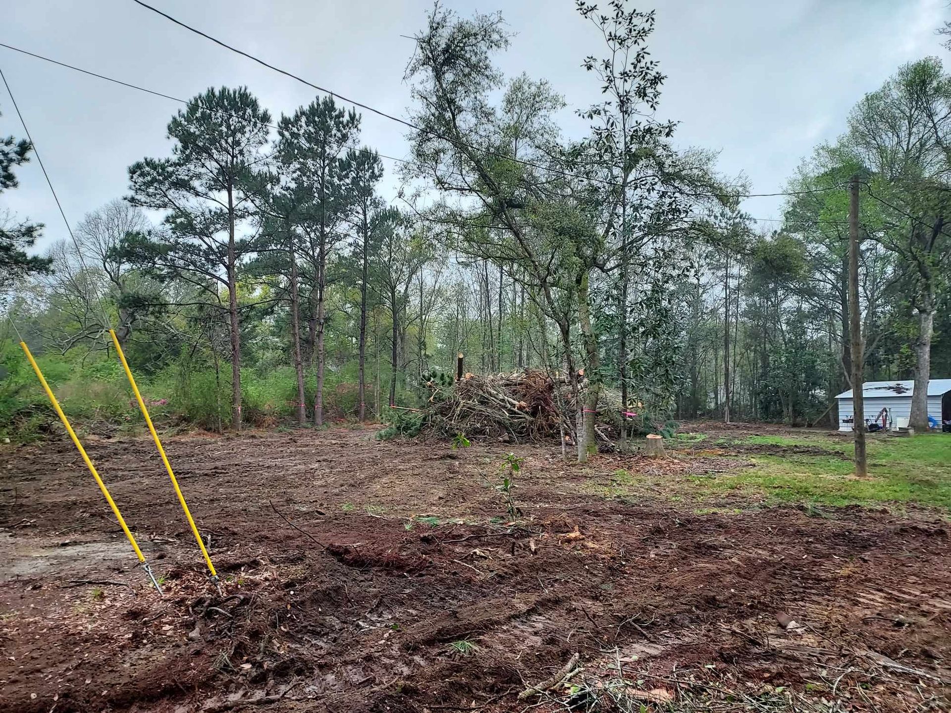 Cleared land with a pile of wood, power lines overhead, and trees in the background.