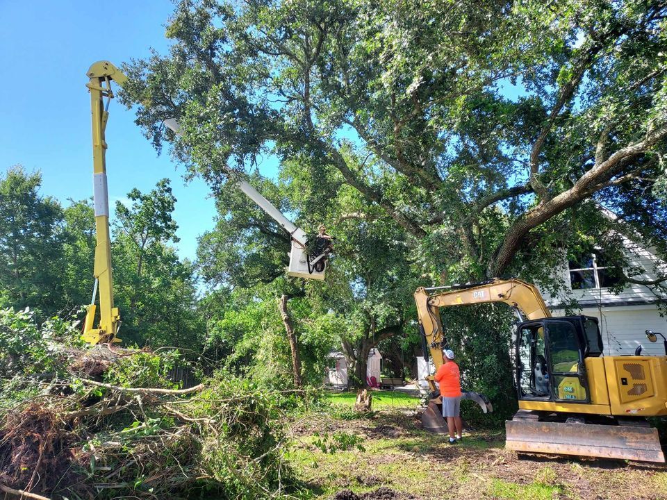 Tree removal: yellow lift truck, excavator, workers cutting branches near a house. Blue sky.