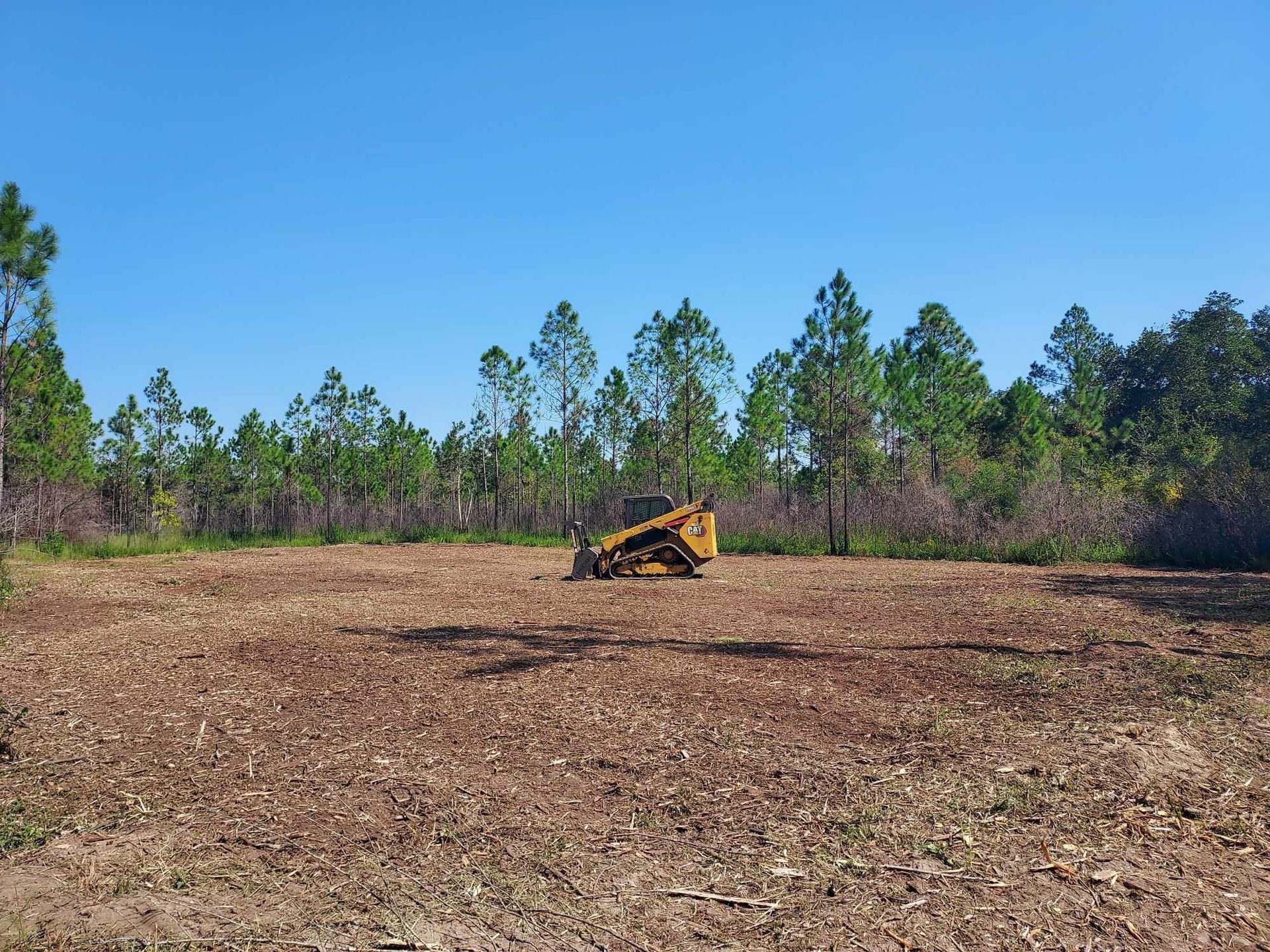 Yellow excavator on a clear-cut area, surrounded by trees under a blue sky.