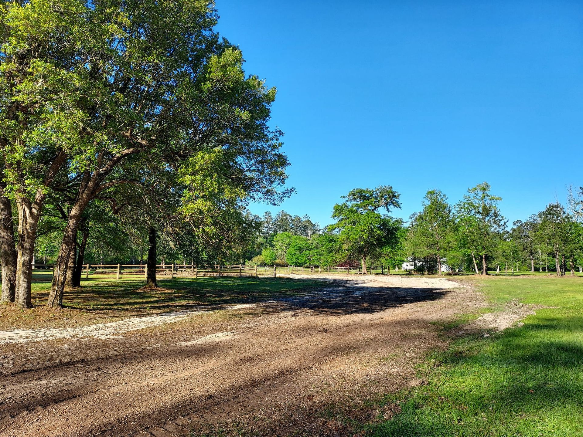 Dirt road leads to a green field with trees under a bright blue sky.